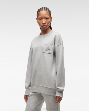 Bluzy Damskie Moose Knuckles Brooklyn Crew Neck Szare | EL8197340