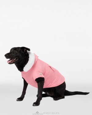 Pet Damskie Moose Knuckles Pooch Parka Białe | EP7493582