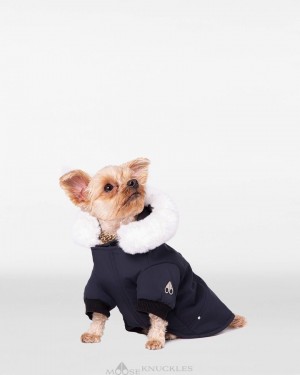 Pet Damskie Moose Knuckles Pooch Parka Granatowe Białe | DH4579803