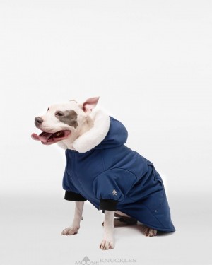 Pet Damskie Moose Knuckles Pooch Parka Niebieskie Białe | ZS8620915
