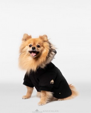 Pet Męskie Moose Knuckles Pooch Parka Czarne Złote | KR4359127