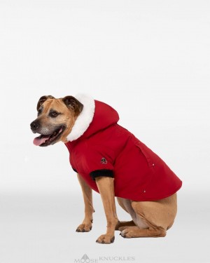 Pet Męskie Moose Knuckles Pooch Parka Jasny Czerwone Białe | XH2309518