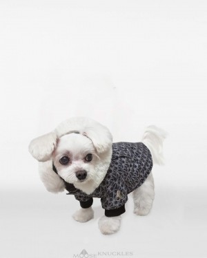 Pet Męskie Moose Knuckles Pooch Parka Monogram / Natural Fur | LE9384570