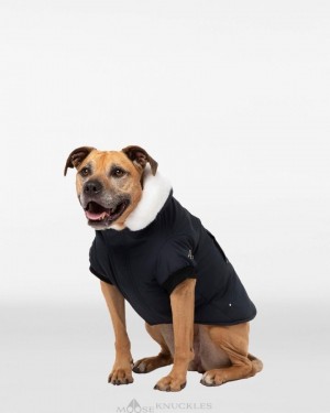 Pet Męskie Moose Knuckles Pooch Parka Różowe Białe | CJ9187253